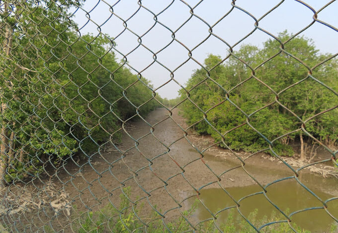 Burirdabri Forest Camp