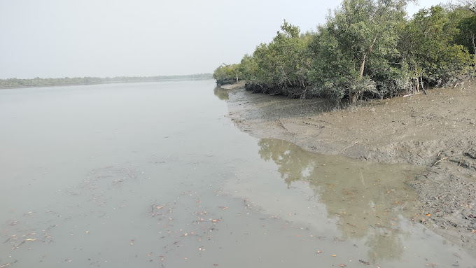 Burirdabri Forest Camp