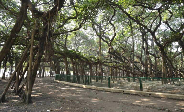 Acharya Jagdish Chandra Bose Indian Botanical Garden