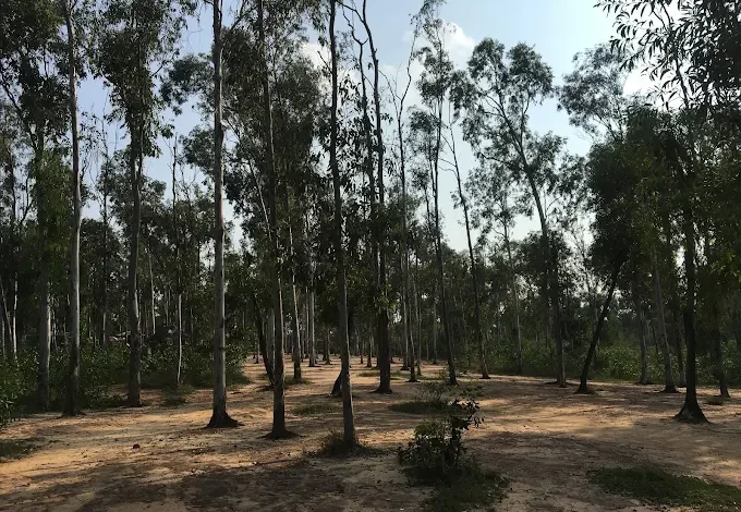 Shonajhurir Haat