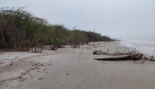 Bakkhali Beach