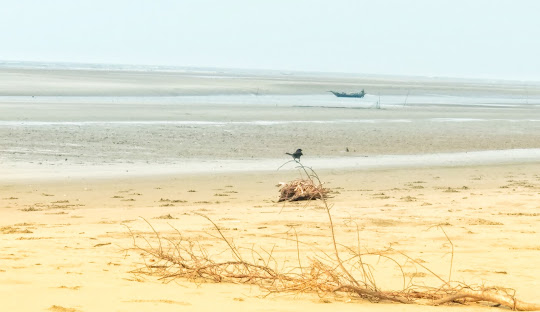 Bakkhali Beach