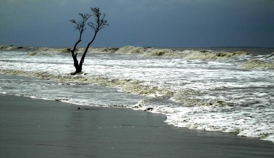 Bakkhali Beach