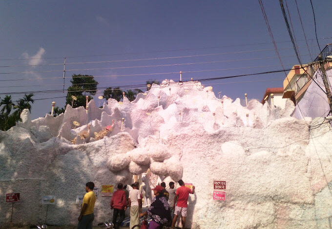 Subhaspally Sarbojanin Jagadhatri Puja