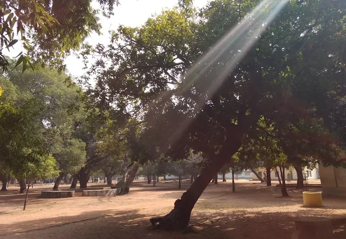 Chattimtala