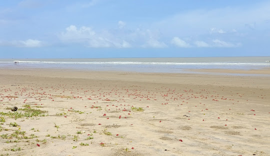 mandarmani beach