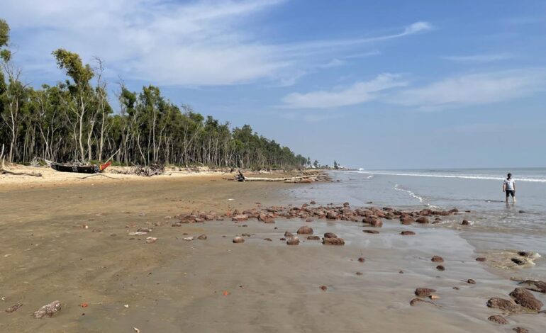 Tajpur Beach