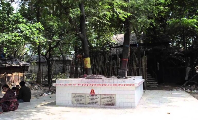 Tarapith sosan