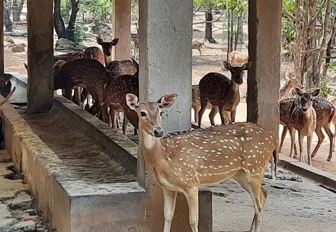 Ballabhpur Wildlife Sanctuary