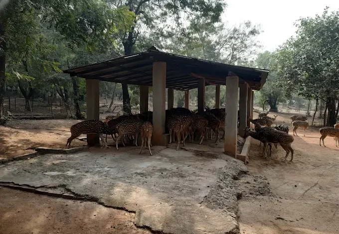 Ballabhpur Wildlife Sanctuary
