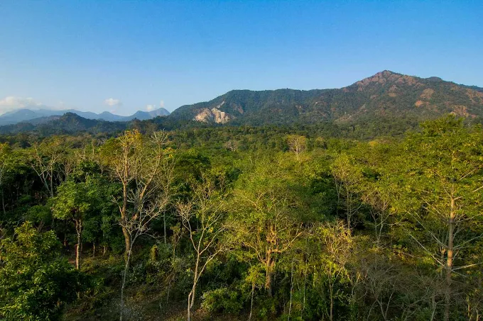 Buxa Tiger Reserve & Wildlife Sanctuary