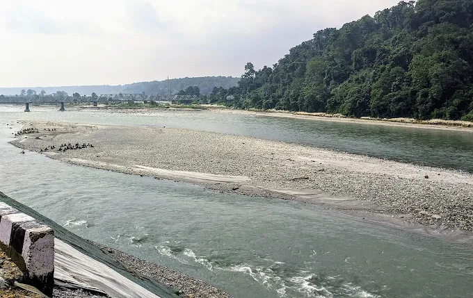 Mahananda Wildlife Sanctuary