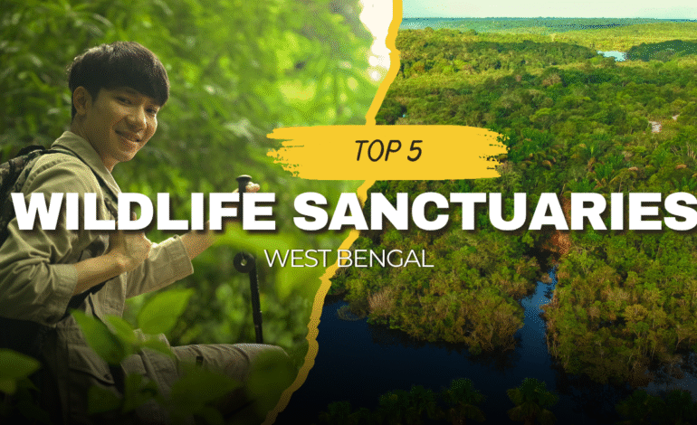 Top 5 Wildlife Sanctuaries in West Bengal – A Nature Lover’s Paradise