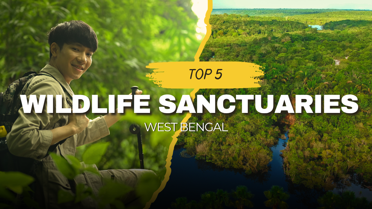 Wildlife Sanctuaries in West Bengal
