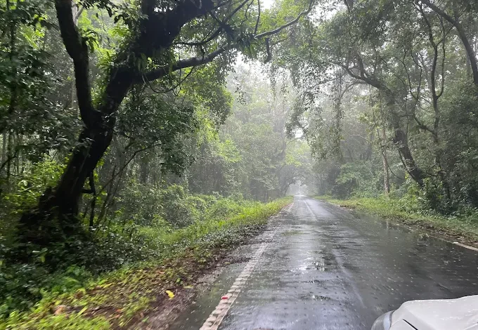 chilapata forest