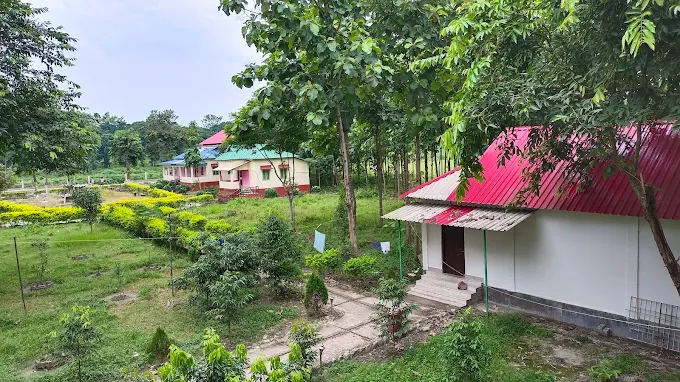 chilapata forest