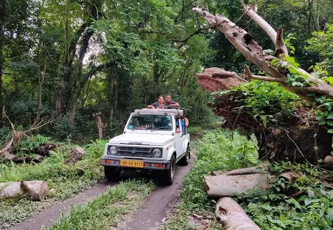 chilapata forest