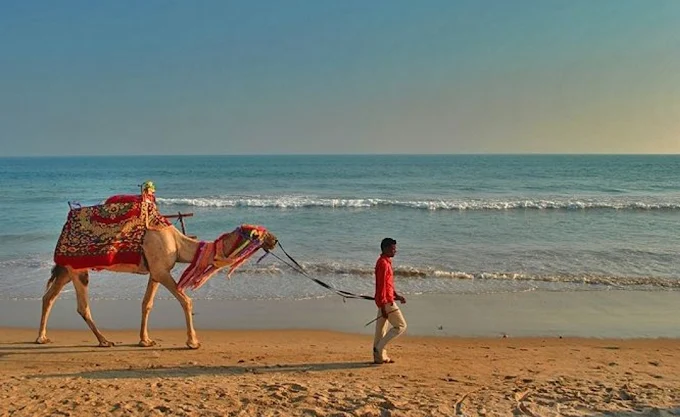 puri sea beach